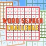 Word Search Challenge